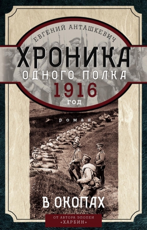 Анташкевич Евгений - Хроника одного полка. 1916 год. В окопах