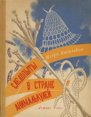 Васильков Игорь - Следопыты в стране анималькулей