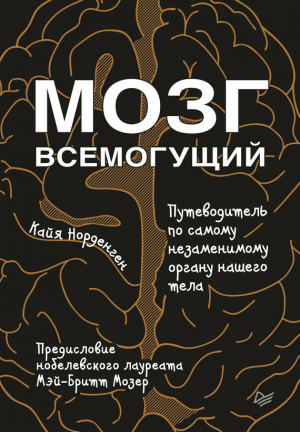 Норденген Кайя - Мозг всемогущий. Путеводитель по самому незаменимому органу нашего тела