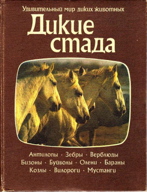 Нири Джон - Дикие стада