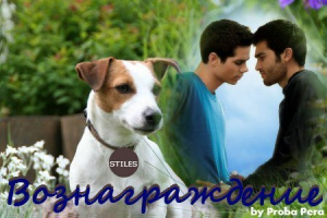  - Вознаграждение (СИ)