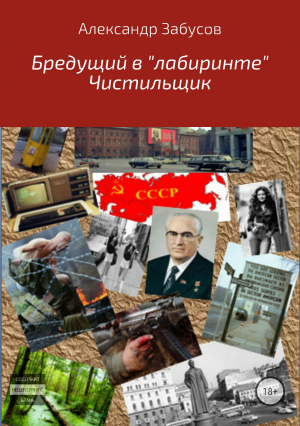 Забусов Александр - Бредущий в «лабиринте». Книга 2. Чистильщик (СИ)