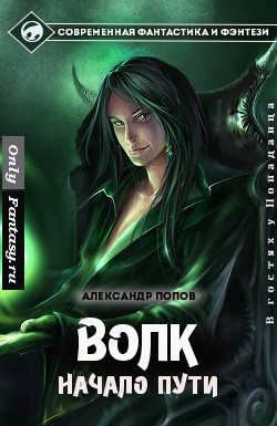 Попов Александр Игоревич - Начало пути (СИ)