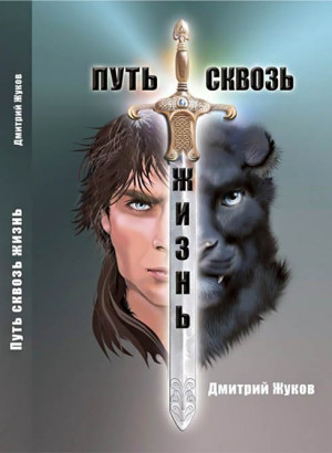 Жуков Д - Путь сквозь жизнь