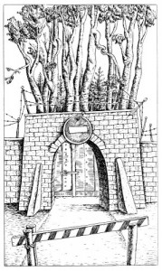 Администрация леса