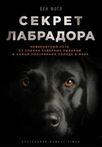 Фогл Бен - Секрет лабрадора. Невероятный путь от собаки северных рыбаков к самой популярной породе в мире