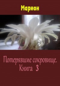 Потерявшие сокровище. Книга 3