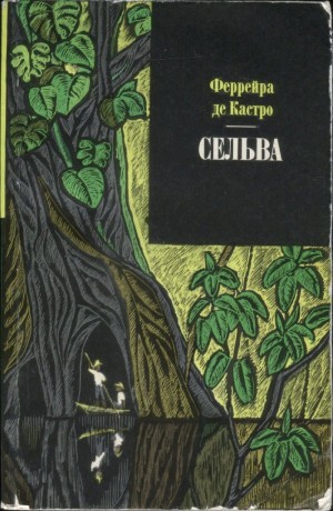 Кастро Феррейра - Сельва