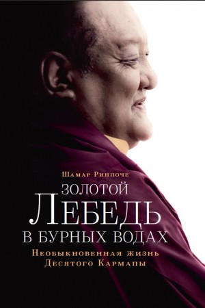 Ринпоче Шамар - Золотой лебедь в бурных водах. Необыкновенная жизнь Десятого Кармапы