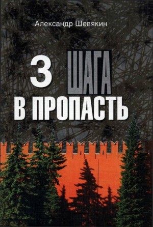 Шевякин Александр - 3 шага в пропасть