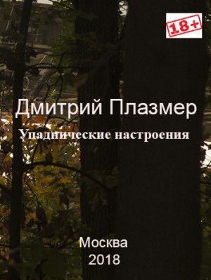 Плазмер Дмитрий - Упаднические настроения