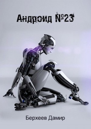 Берхеев Дамир - Андроид №23