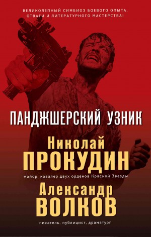 Прокудин Николай, Волков Александр Иванович - Панджшерский узник