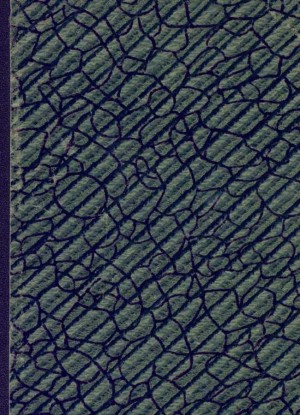 cкачать книгу Георгий Кублицкий Рейс в Эвенкию (путевые заметки)