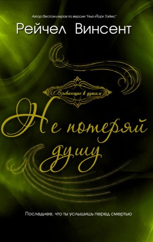 Винсент Рейчел - Не потеряй душу