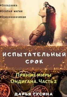 Гусина Дарья - Испытательный срок.