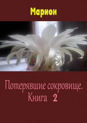 Марион - Потерявшие сокровище. Книга 2