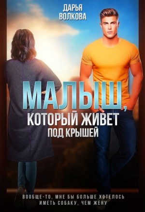Волкова Дарья - Малыш, который живет под крышей