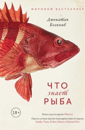 Бэлкомб Джонатан - Что знает рыба