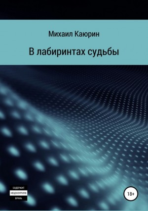 Каюрин Михаил - В лабиринтах судьбы