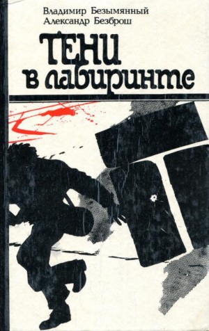 Безымянный Владимир, Безброш Александр - Тени в лабиринте