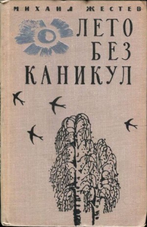 Жестев Михаил - Лето без каникул