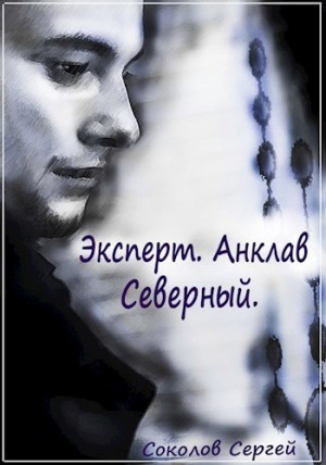 Сергей Соколов - Эксперт. Анклав Северный.(Книга 2)