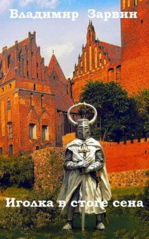 Зарвин Владимир - Иголка в стоге сена