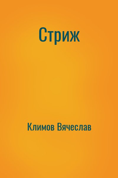 Климов Вячеслав - Стриж
