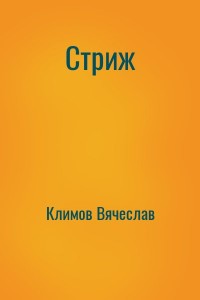 Стриж