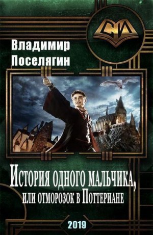 Поселягин Владимир - История одного мальчика, или Отморозок в Поттериане
