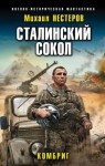 Нестеров Михаил - Сталинский сокол. Комбриг