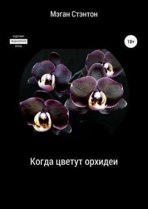 Арчибисова Юлия - Когда цветут орхидеи