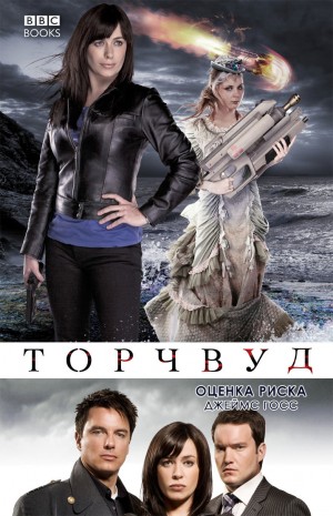 Госс Джеймс - Оценка риска