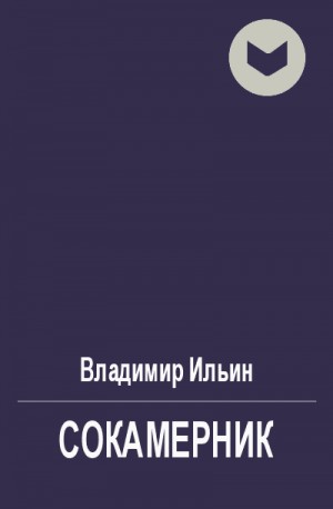 Ильин Владимир Леонидович - Сокамерник