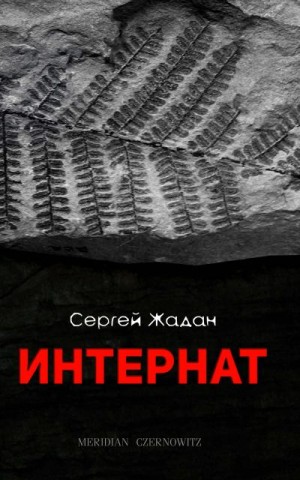 Жадан Сергей - Интернат