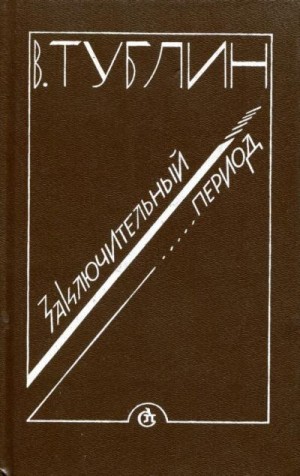 Тублин Валентин - Заключительный период