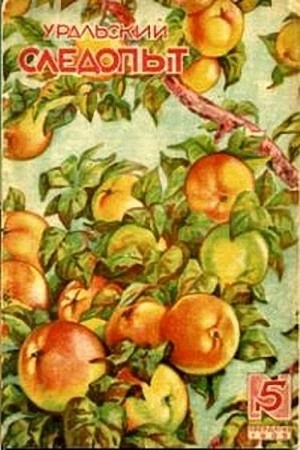 Бармин А. - Механикус Ползунов