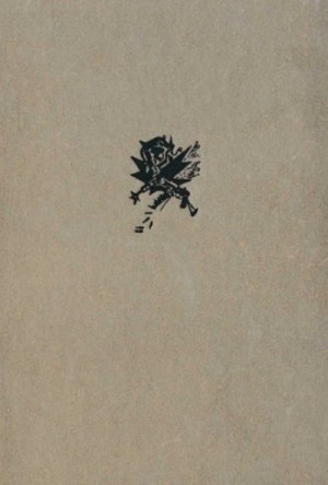 Сапожников Владимир - На фронте затишье