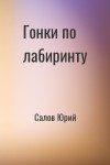 Салов Юрий - Гонки по лабиринту