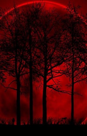 де Бодар Альетт - Луна над «Красными деревьями»