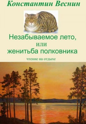 Веснин Константин - Незабываемое лето, или Женитьба полковника