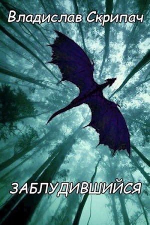 Скрипач Владислав - Заблудившийся