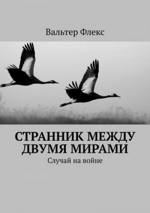 Флекс Вальтер - Странник между двумя мирами