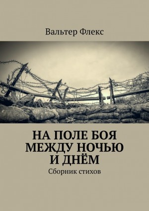 Флекс Вальтер - На поле боя между ночью и днём