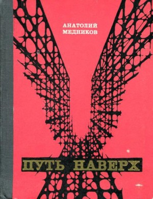 Медников Анатолий - Путь наверх