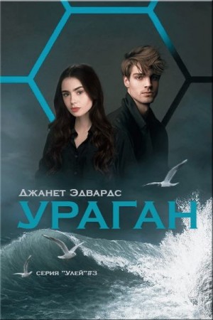 Эдвардс Джанет - Ураган