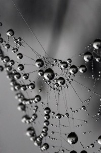 Нелюбовь (1 часть)