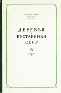Деревья и кустарники СССР. Том 4. Дикорастущие, культивируемые и перспективные для интродукции