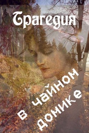 Ракитина Ника - Трагедия в чайном домике